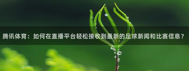 新闻图片