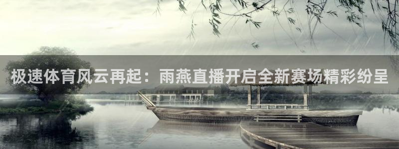 857直播体育n：极速体育风云再起：雨燕直播开启全新赛场精彩纷呈