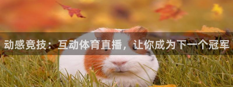 857体育赛事直播免费：动感竞技：互动体育直播，让你成为下一个冠军