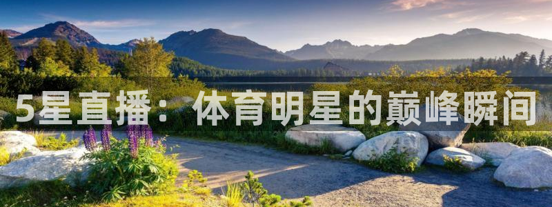 新闻图片