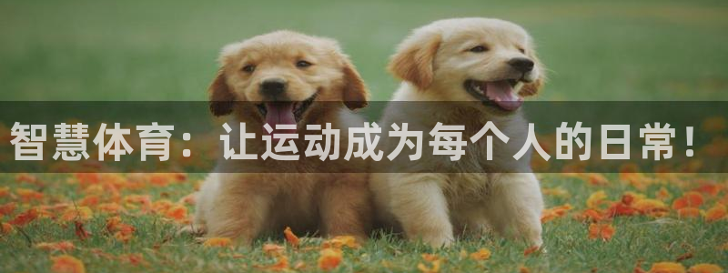 857篮球体育直播：智慧体育：让运动成为每个人的日常！