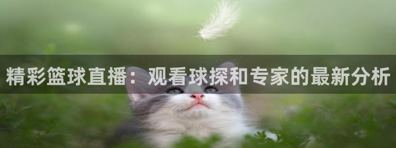 857雨燕直播体育