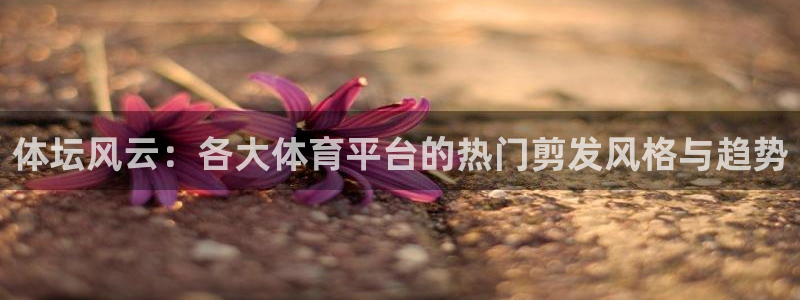 857直播体育在线