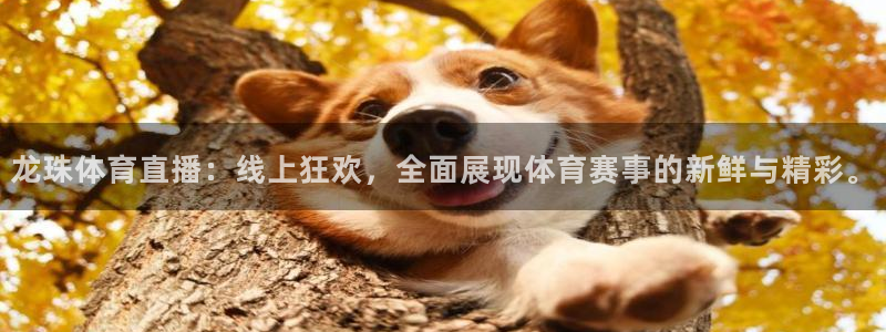 857体育赛事直播：龙珠体育直播：线上狂欢，全面展现体育赛事的新鲜与精彩。